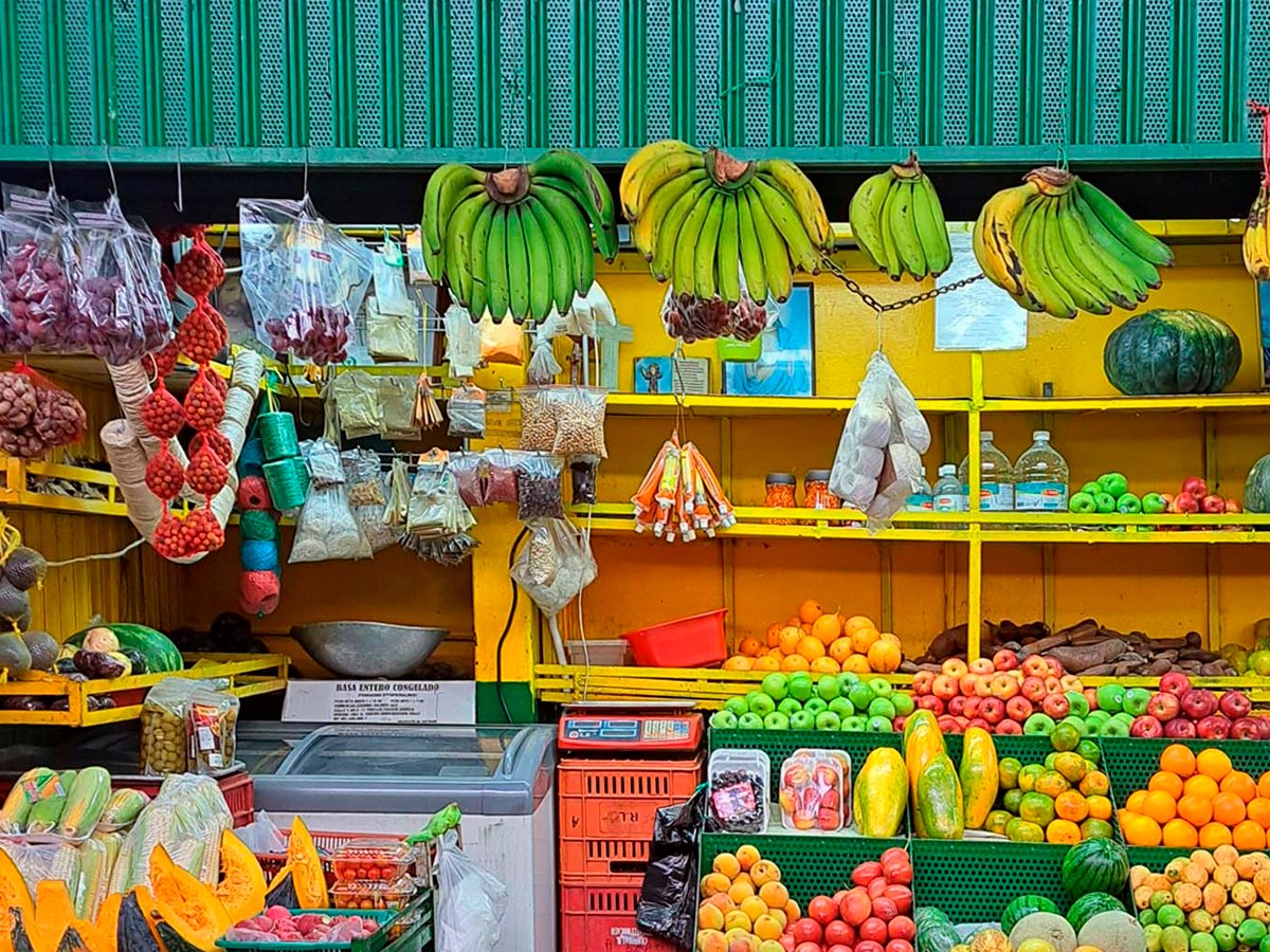 Flores de colores en la sección de floristerías