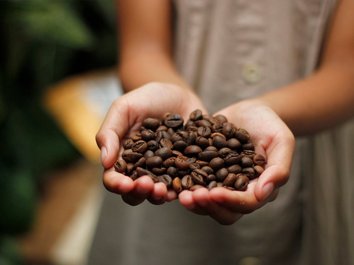 Eje Cafetero Classic 9 Noches – Salento, Filandia y Cocora