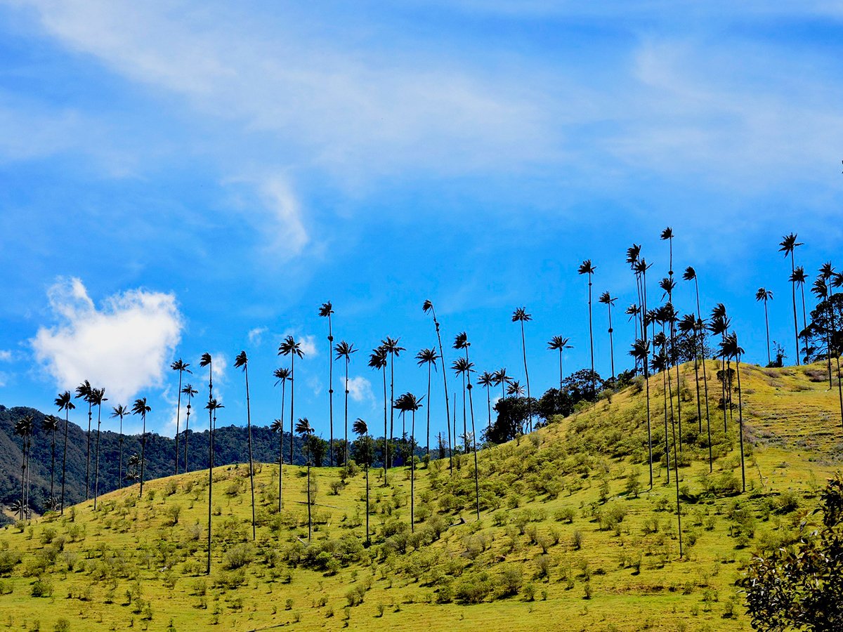 Termales de Santa Rosa de Cabal