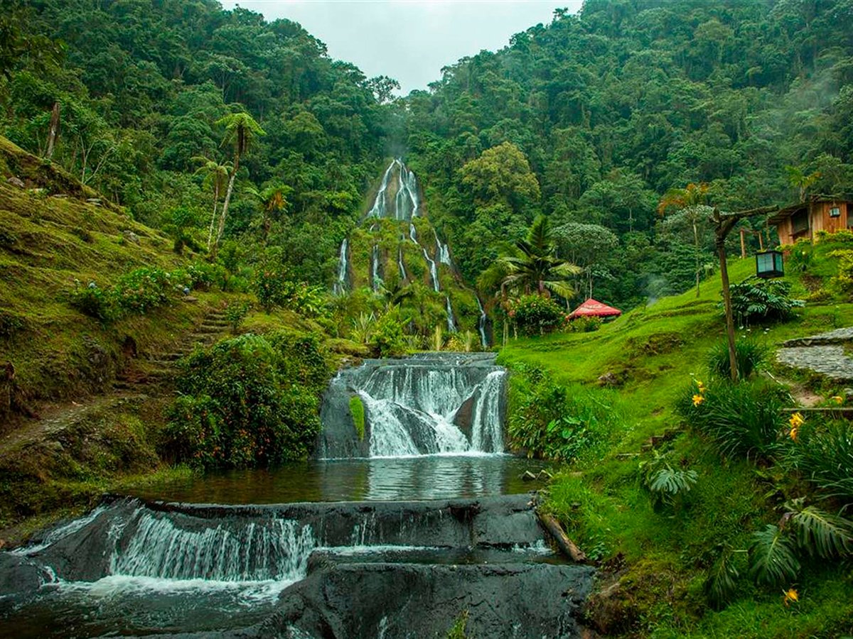 Escapada Eje Cafetero 5 Noches – Cocora, Salento, Filandia y Termales